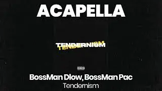 ACAPELLA BEAT : Tendernism - BossMan Dlow, BossMan Pac (BPM 86, key D minor )