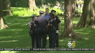 Shocking Central Park Discovery