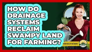 How Do Drainage Systems Reclaim Swampy Land For Farming? - Farm Wealth Network