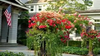 Full Property Maintenance in Bloomfield Hills, MI