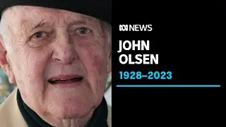 Acclaimed Australian artist John Olsen dies aged 95 | ABC News