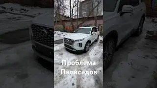 Основная проблема hyundai palisade #hyundai #hyundaipalisade #autodenz #автоизкореи