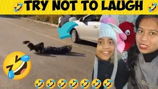 Try Not to Laugh 🤣 boost mood fast with this funny video | हंसना है तो पूरा वीडियो देखें 🤣