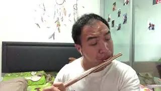Andante from Brahms&rsquo; Clarinet sonata in F minor,op.120 no.1 (Flute cover) Fl&ucirc;te: Patiparn Poonsawad
