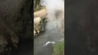 Dragon&rsquo;s Mouth Spring in Yellowstone National Park