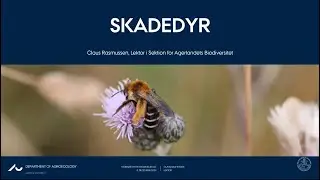Oplæg om Skadedyr - Webinar om pesticiders rolle i dansk landbrug...