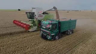 🇧🇬4K Wheat Harvest in Bulgaria/Class Lexion 660/Harvest 2021.