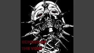 Echoes of the Void