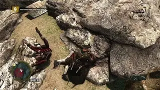 Assassin&rsquo;s Creed IV: Black Flag [DE] | PS4 | Programmfehler: Zappelphilipp