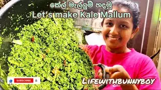Let&rsquo;s make Kale Mallum 🥬 | කේල් මැල්ලුම් හදමු| Life in Japan 🇯🇵 #easyrecipe #homemade #srilankanfood