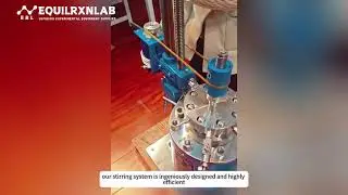 The Ultimate High-Pressure Reactor &ndash; FCF Series in Action!