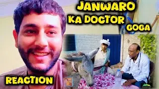 Saleem Albela with his donkey goga doctor |Albela tv |reaction video| comedy