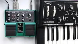 Boss SL-20 slicer with Moog the Rogue