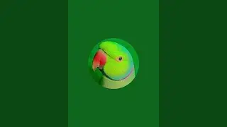 Parrot talking  is live!