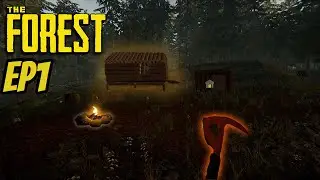 Starting off (The Forest)
