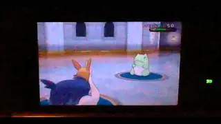 Stoutland's 50th Battle Maison Battle Win