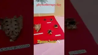 physiotherapy day 2024 Chaitanya deemed to be university #doctor #humanbones #celebration #doctor
