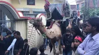 72 Bahattar Taboot (P-3) , Daryabad, Allahabad | 2019