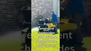 Treat your south Mississippi lawn for weeds