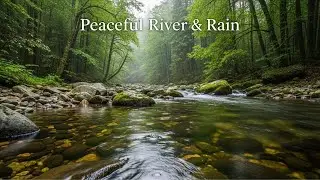 Relaxing Night Rain Sounds with Quiet River Ambience for Deep Sleep and Stress Relief