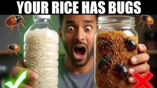 Rice Storage SECRETS They Don't Want You to Know (Lasts 30+ YEARS!)