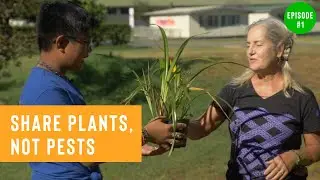Share Plants, Not Pests // Ep.1: Quarantine