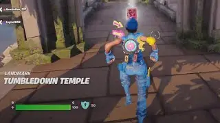 Collect Omni Chips at Tumbledown Temple