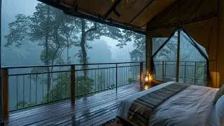 Cozy Safari Tent in the Rain: Relaxing Forest Sounds for Sleep & Relaxation 🌧️🌿