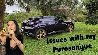 I love my Purosangue! BUT...