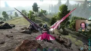 Ark Survival Evolved #6 - Carcharodontosaurus tame + l&aacute;va barlang / Pc