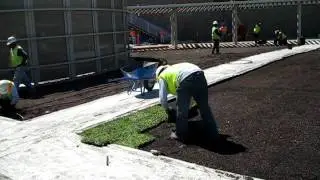 Planting of 13 Etera SEDUM TILES.AVI