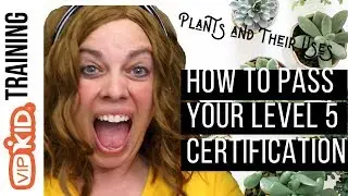 VIPKID: Level 5 Certification tips and walk through (PASS ON YOUR FIRST TRY AND INCREASE BOOKINGS)