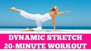 20-Minute Dynamic Stretch: Light Cardio Warm Up or Cool Down Active Stretching Routine