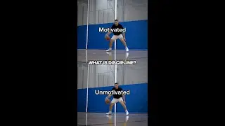 What is your discipline?