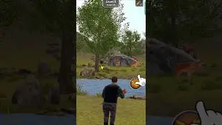 Animan Hunt #short #animalhunt #gunshot