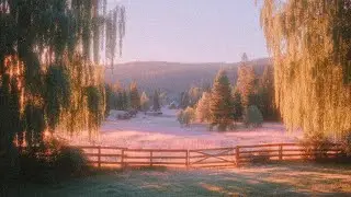 a walk in the autumn garden (piano playlist for fall lovers)