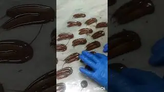 Chocolate Garnish simple Design 🍫#chocolate #garnish #simple #design #shorts #viral #trending #like