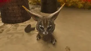 He didn't want to be tamed!