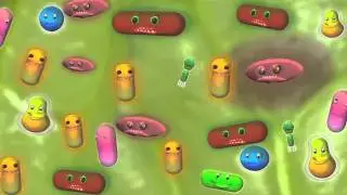 Phages for Food Safety