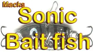 Mack's Sonic Bait Fish,  in FLORIDA?