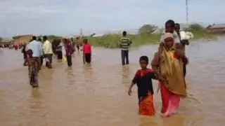 Garissa County - Hulugho 00 Roobab Mahiigaan ah ka da’ay & Sicirbarar Kuyimid Sokorta & Raashiinka