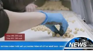 НОВЫЙ ЮЖНЫЙ УЭЛЬС ОБЪЯВЛЯЕТ СПИСОК ПРОФЕССИЙ ДЛЯ VISA 190 И VISA 491 | VEM