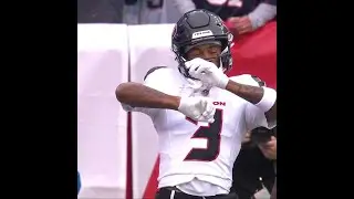 Tank Dell catches for a 2-yard Touchdown vs. New England Patriots