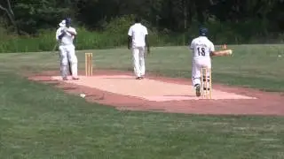 CLNJ 2015 Quarter Final: Stars Cricket Club vs Viho NJ Sluggers (batting)