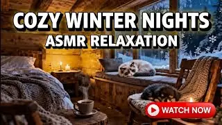 Calming Jazz Music for Cats and Dogs to Sleep 🐾 Night Bedroom Mountain View