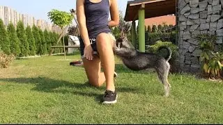 Luna 5 years