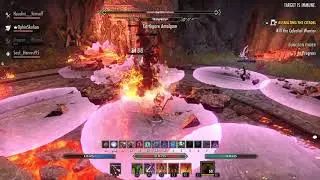 Tank solo for the win in Veteran Bloodroot Forge Hardmode