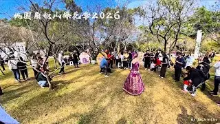 桃園角板山梅花季2026