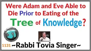 1153 - Were Adam and Eve Able to Die Prior to Eating of the Tree of Knowledge? Rabbi Tovia Singer