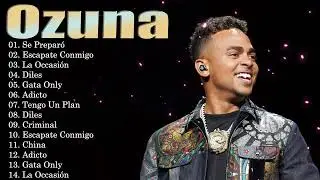 Hits Urbanos Latinos Para Bailar de D&iacute;a y de Noche 2026 &ndash; Ozuna